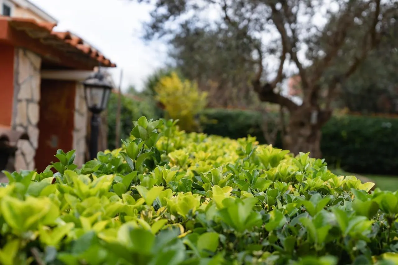 Bed & Breakfast B&B Mamy Fiumicino